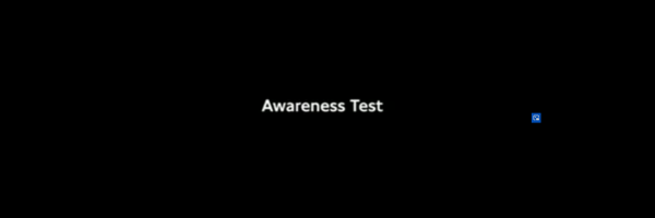 video-test-perception